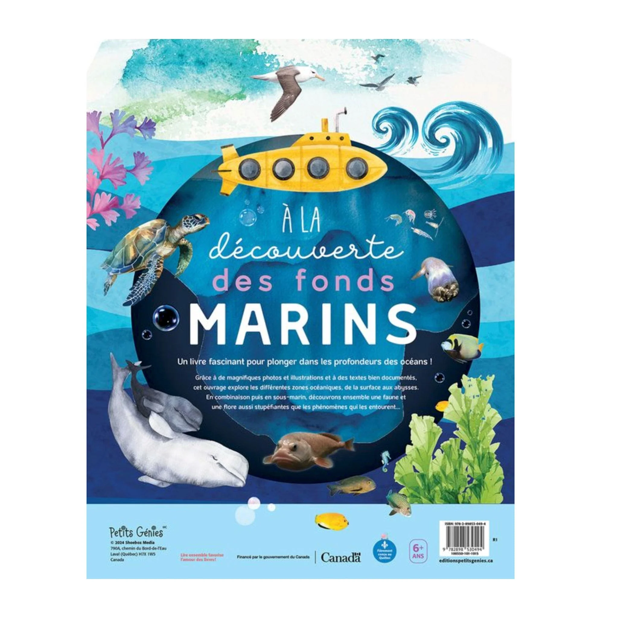 À La Découverte des Fonds Marins - Image 2