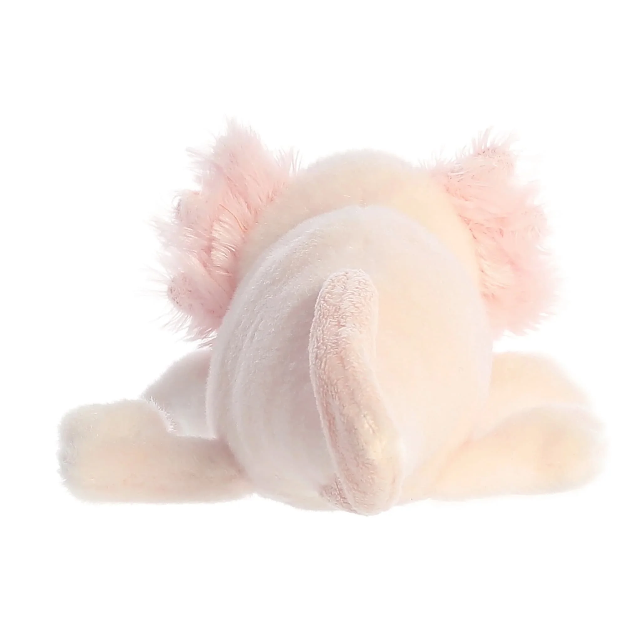 Axolotl Axel - Image 4