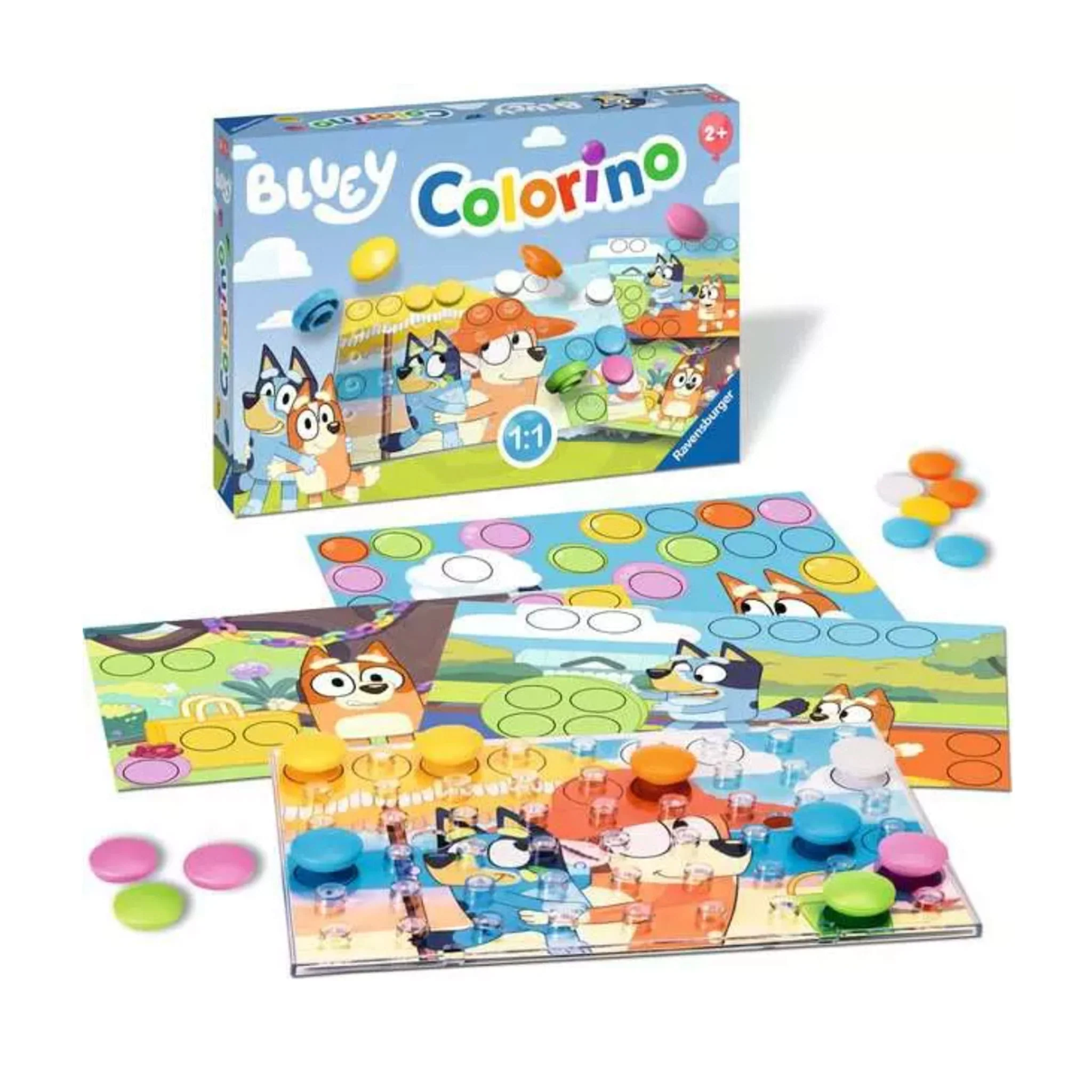 Bluey Colorino - Image 2
