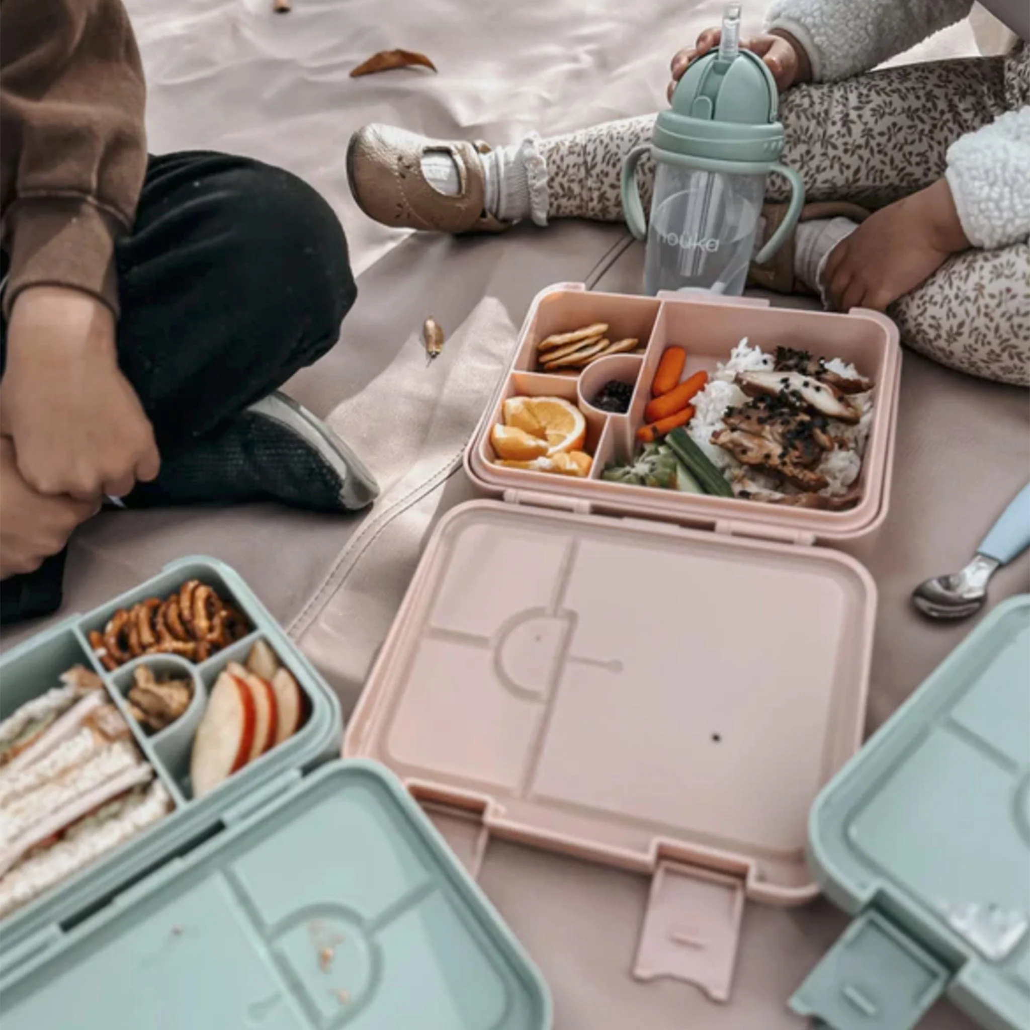 Boite à Lunch Bento - Champignons - Image 4