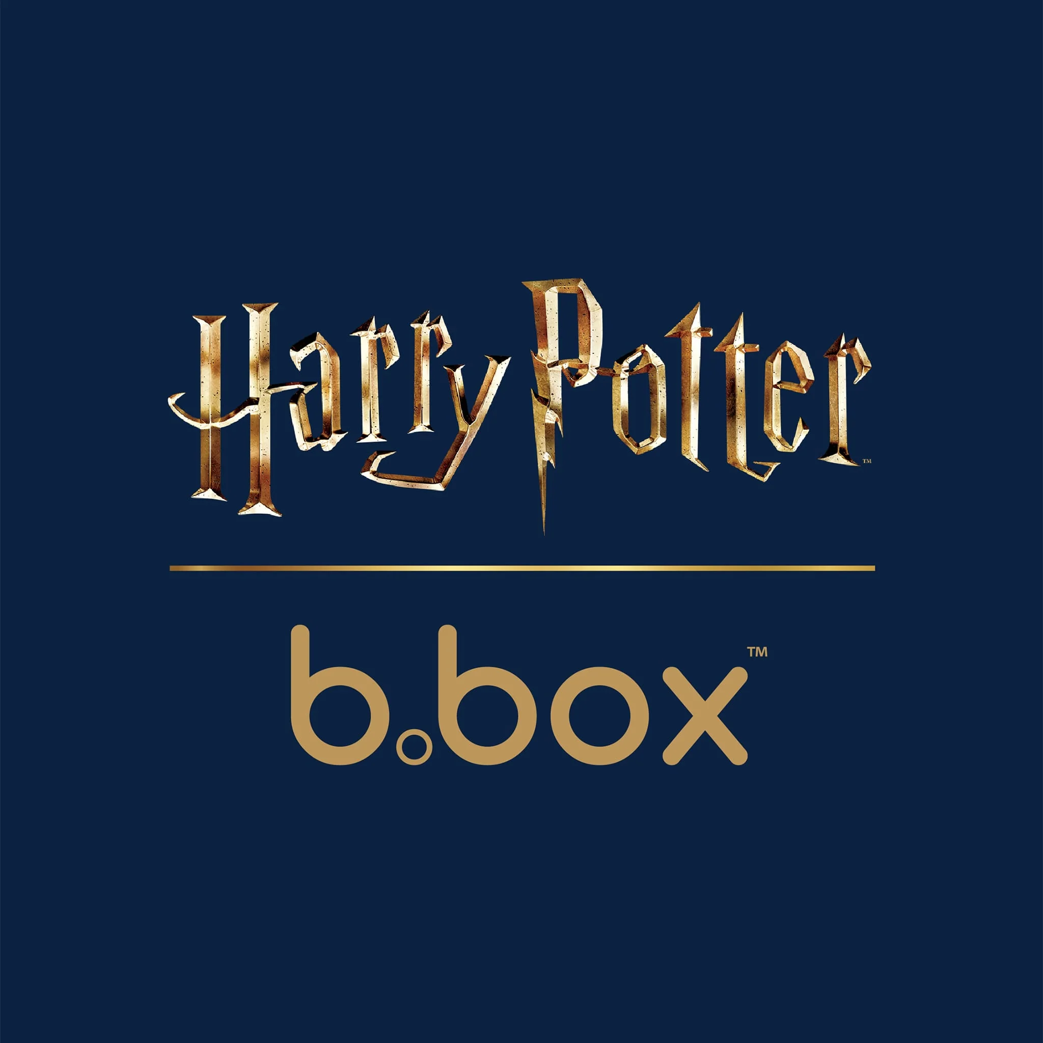 Boîte à Lunch - Harry Potter - Image 14