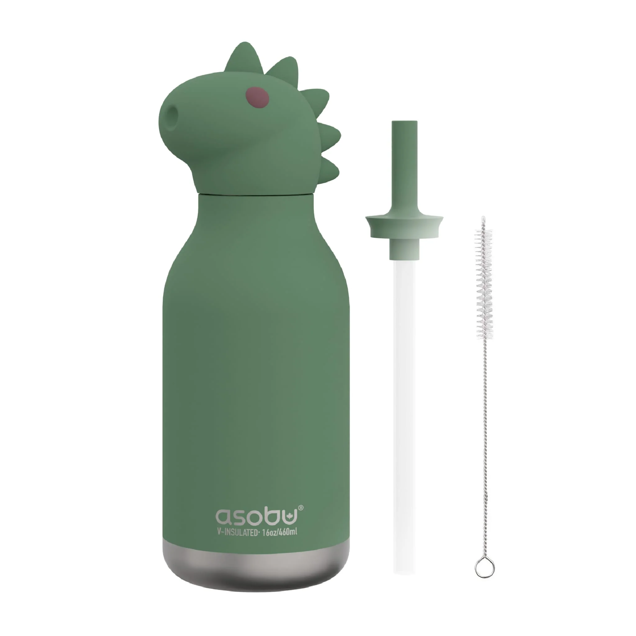 Bouteille 16oz Dino - Image 3
