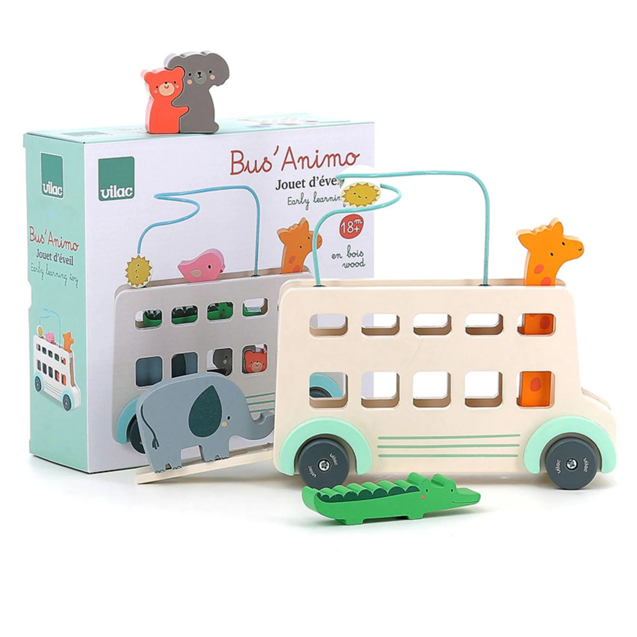Bus Animo - Image 7