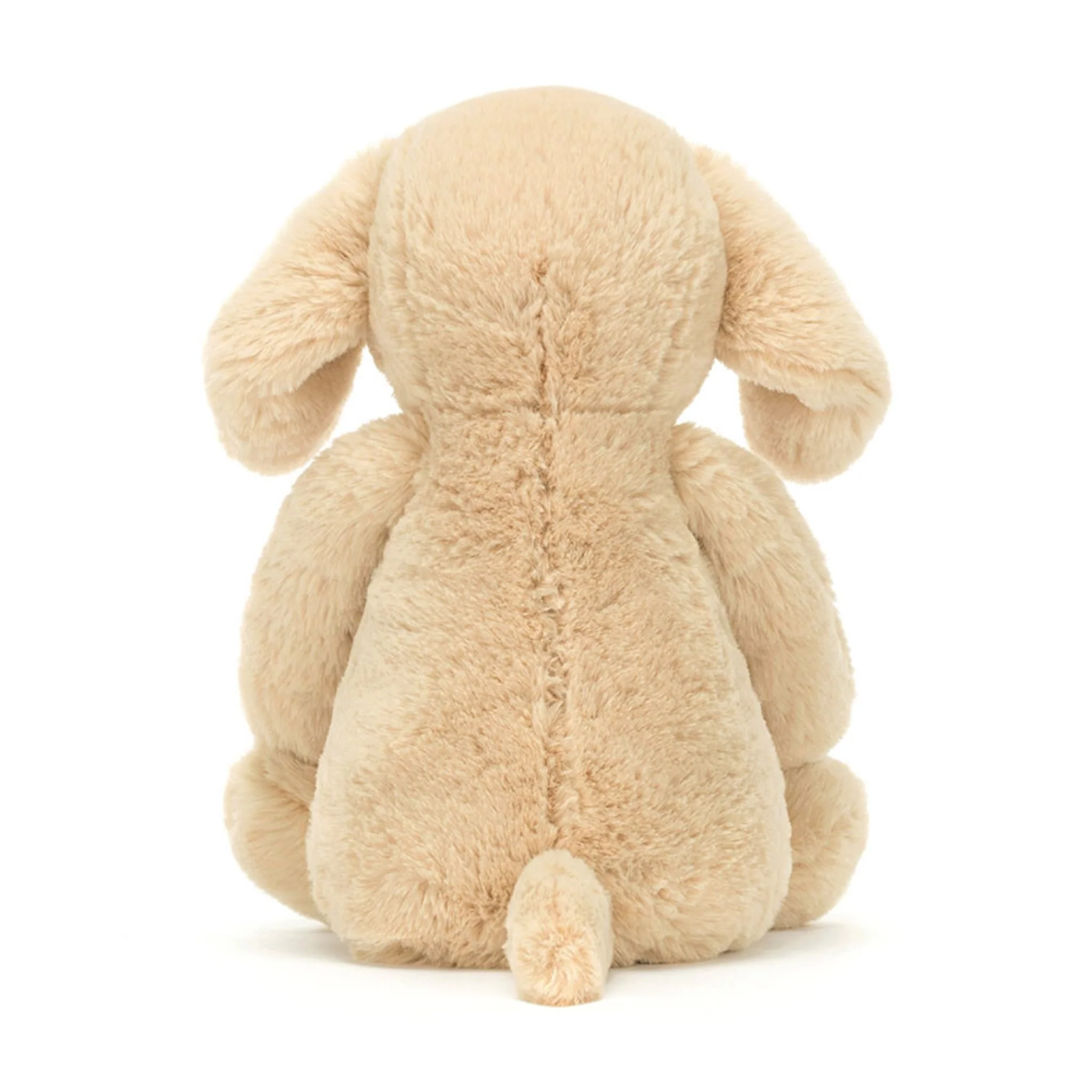 Chien Orlando - Image 4