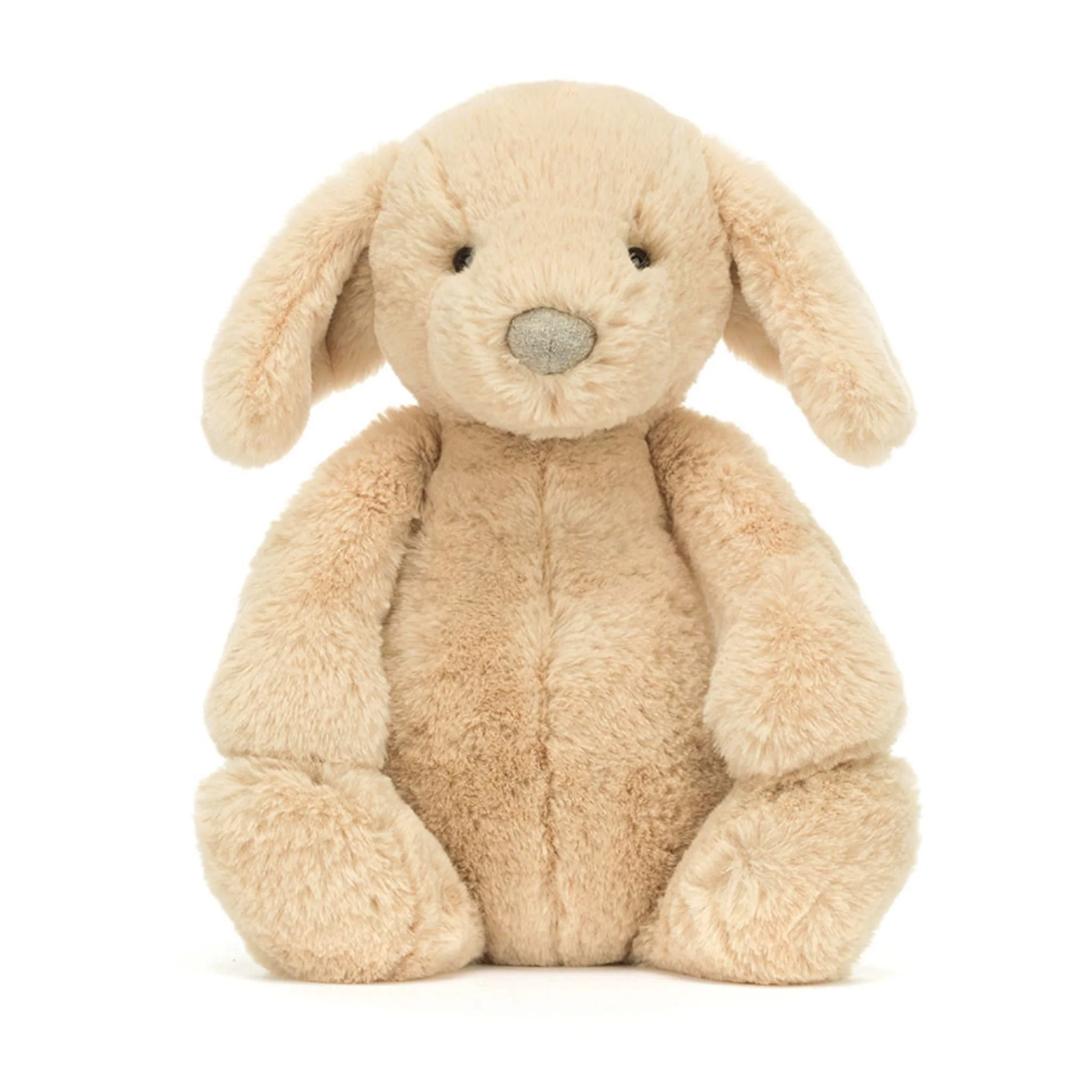 Chien Orlando - Image 5