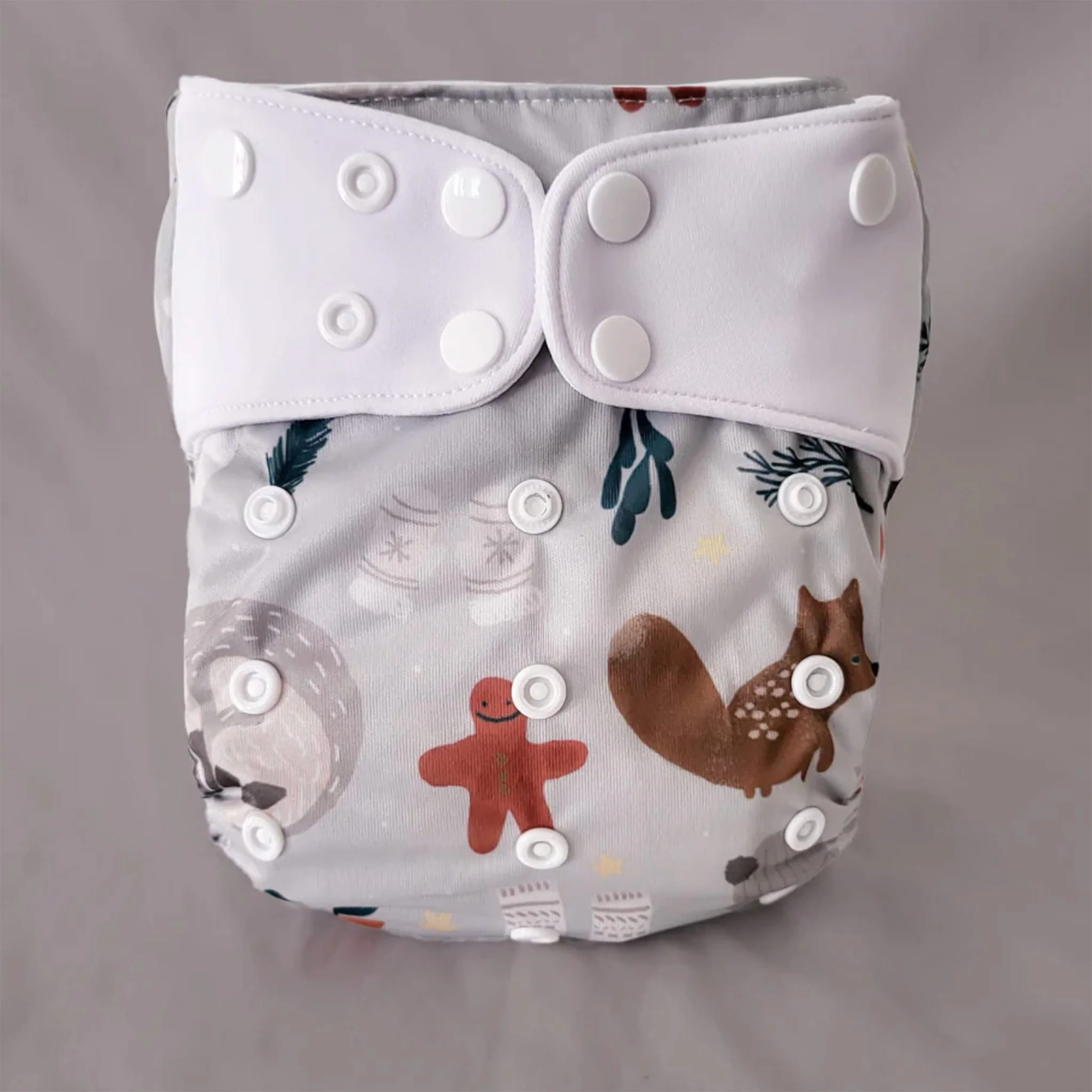 Couche Lavable Évolution 10-35lb - Hiver - Image 2
