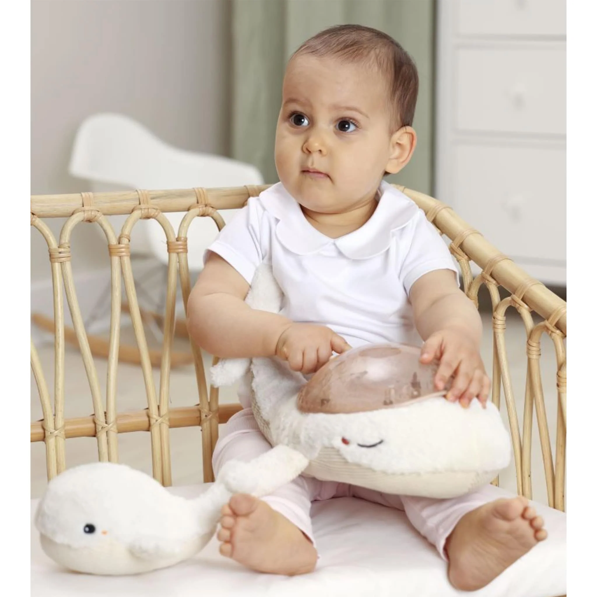 Ensemble Baleine et son Bébé Tranquil Whale⹠- Image 4