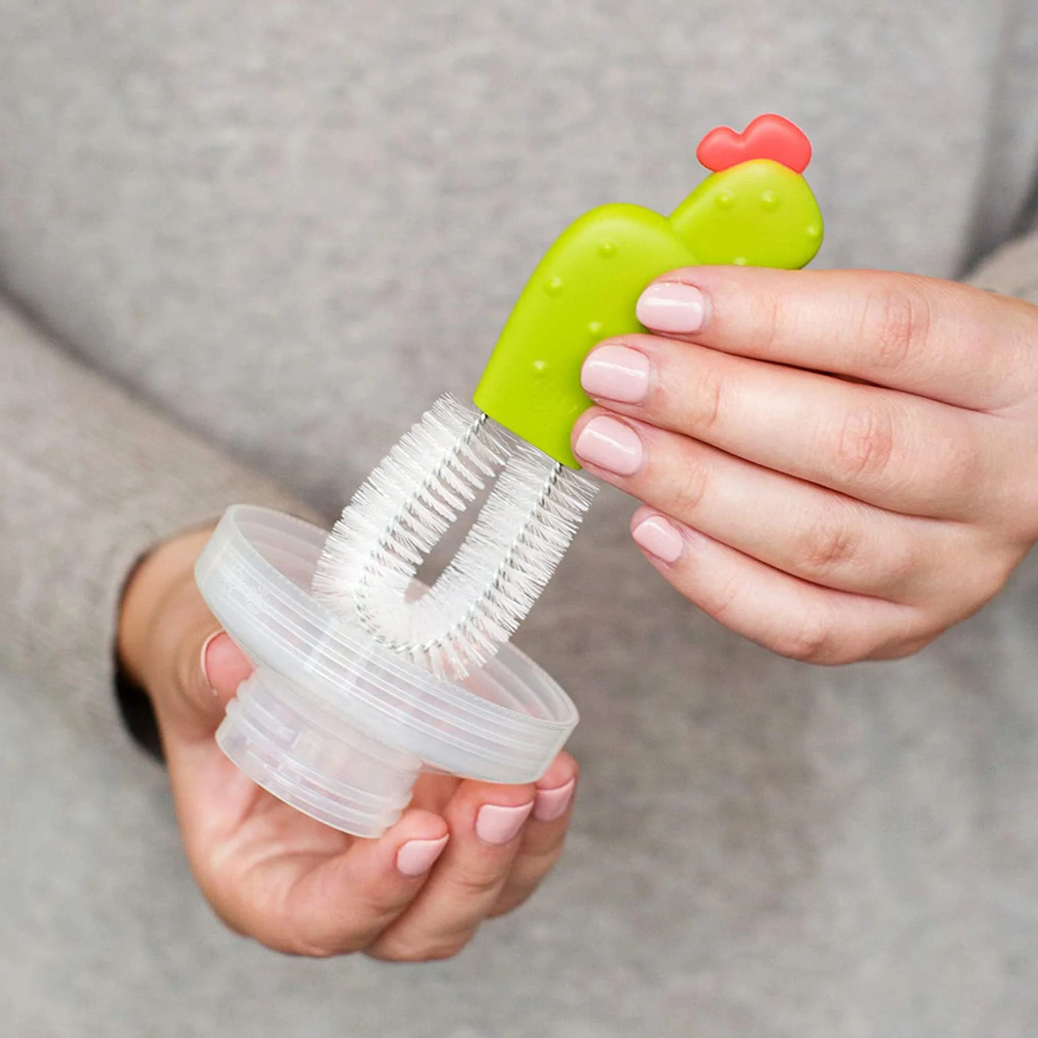 Ensemble de Brosses Cacti - Cactus - Image 4