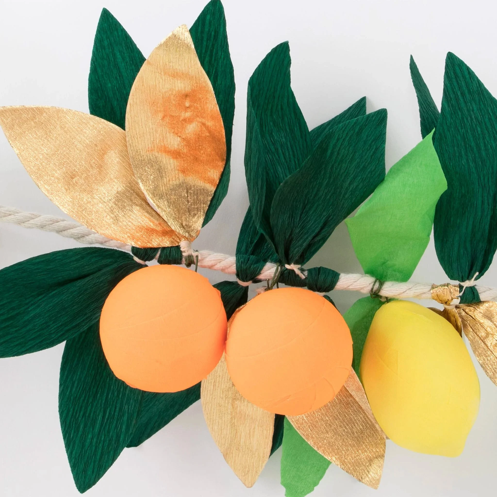 Guirlande d'Agrumes - Image 4