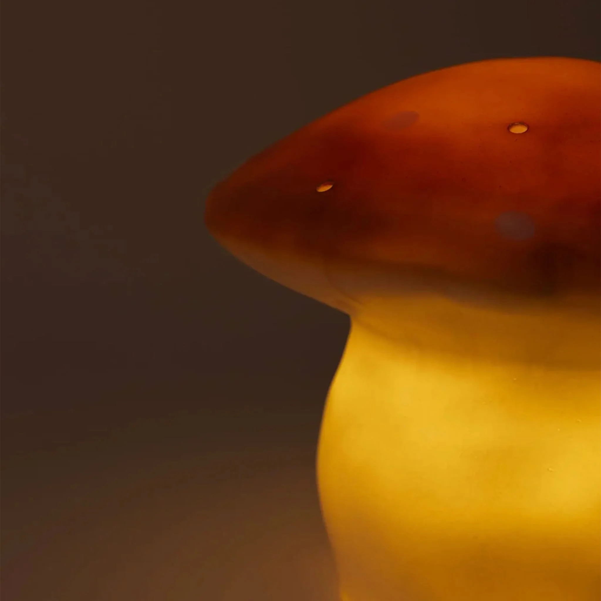 Lampe Champignon - Terra - Image 8