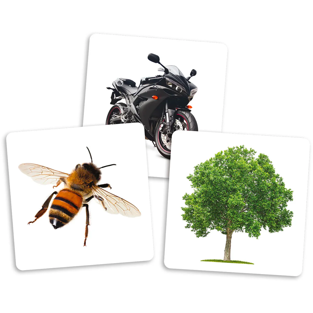 Le Dé Des Premiers Mots - Cartes Supplémentaires - Image 3