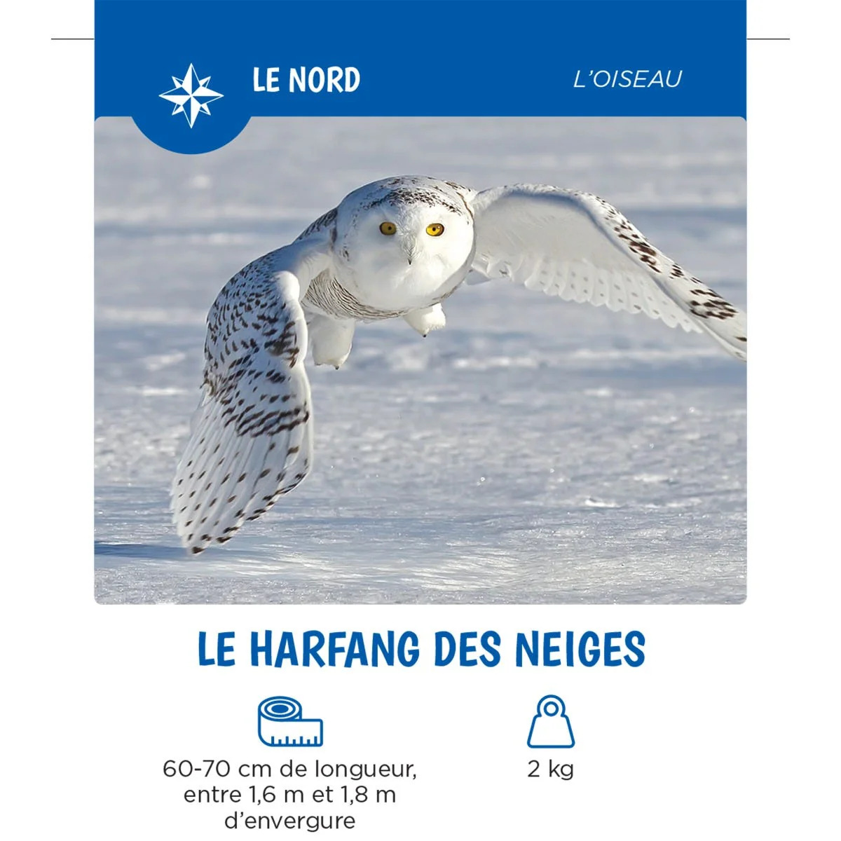 Les Animaux Du Québec - Image 3
