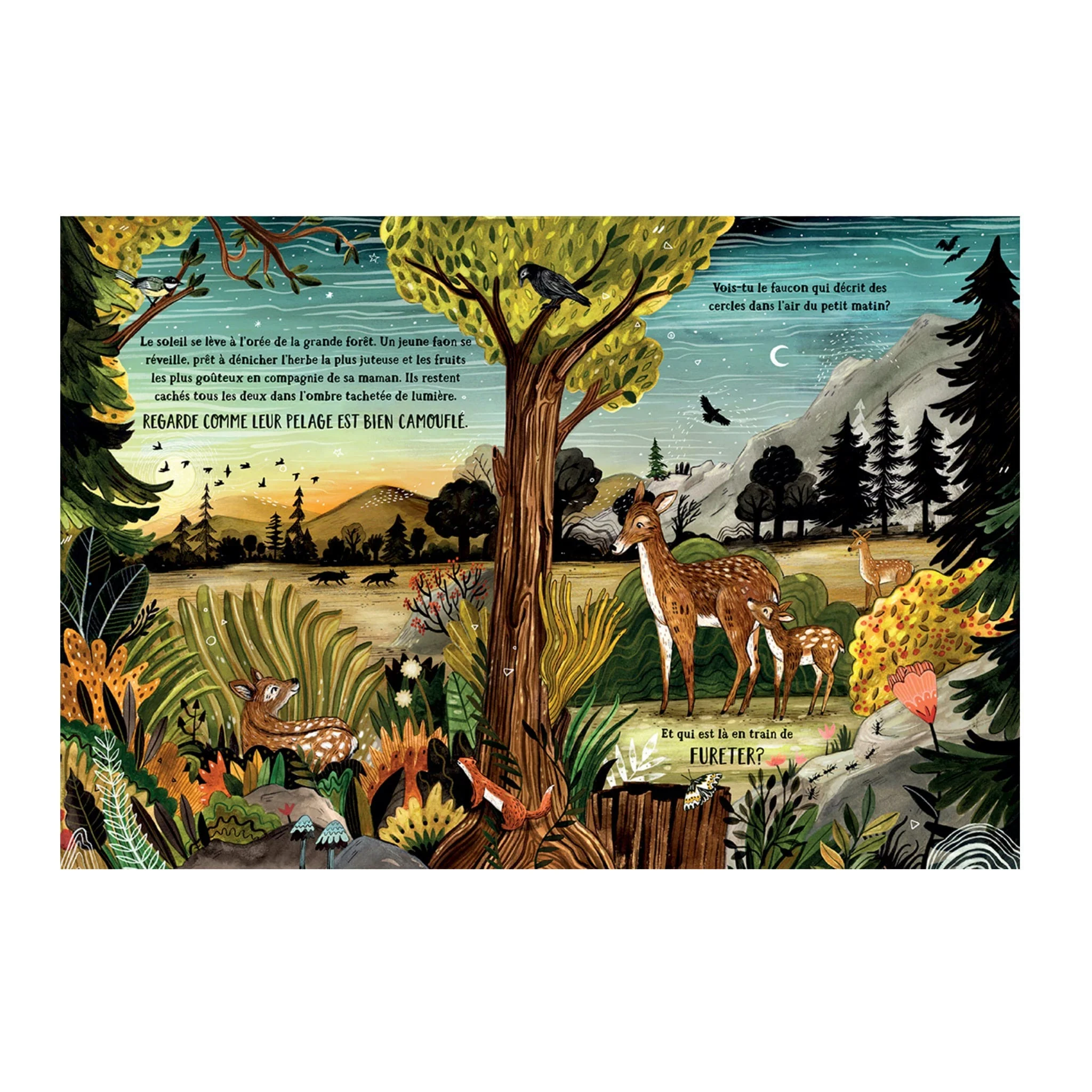 Les Secrets De La Forêt - Image 2