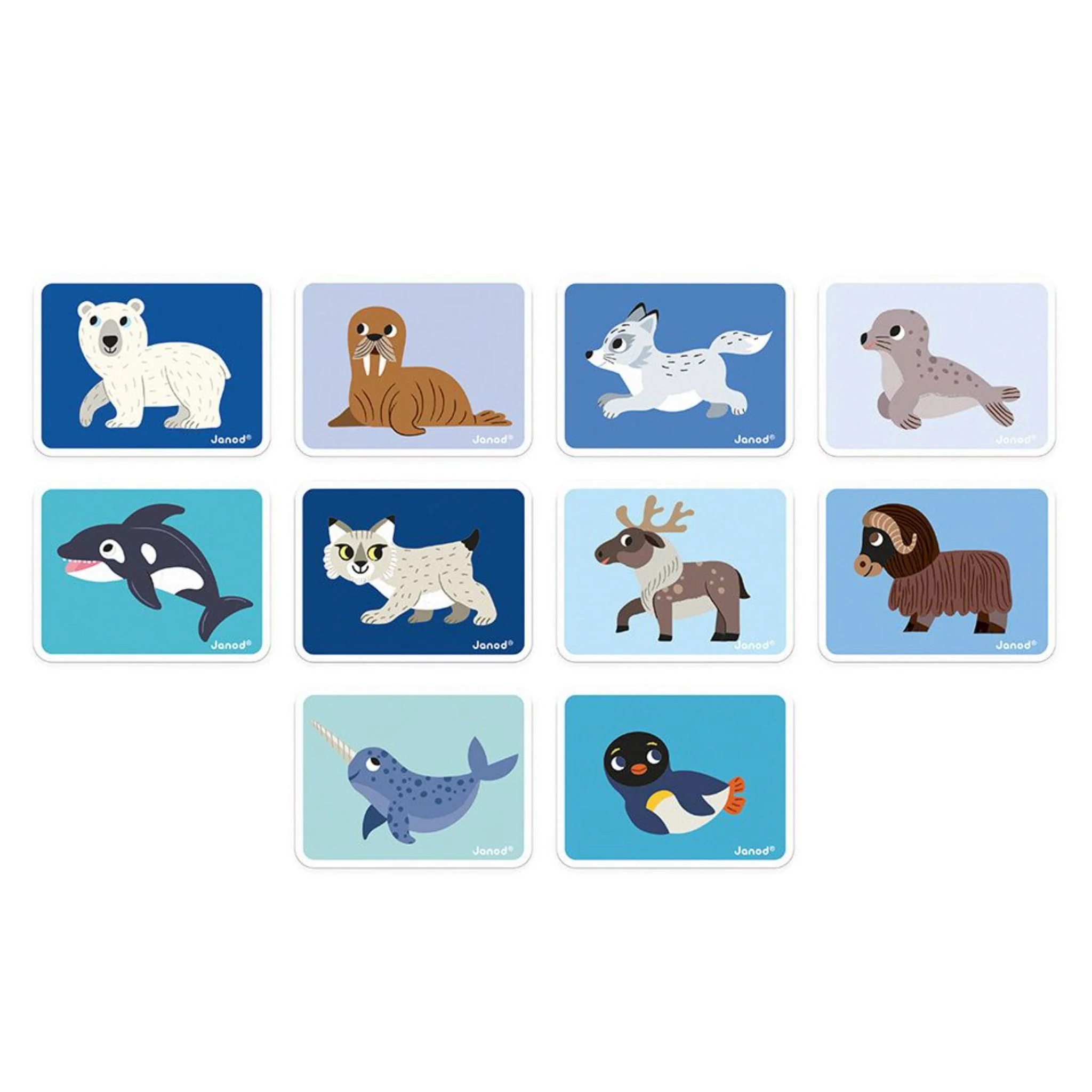 Livre Magnétique Animaux Polaires - Image 5