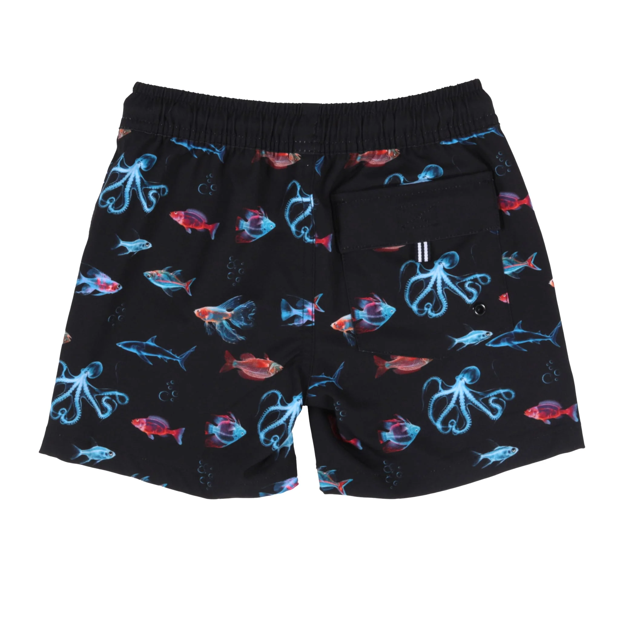 Maillot Short Poissons 2-10ans - Image 9