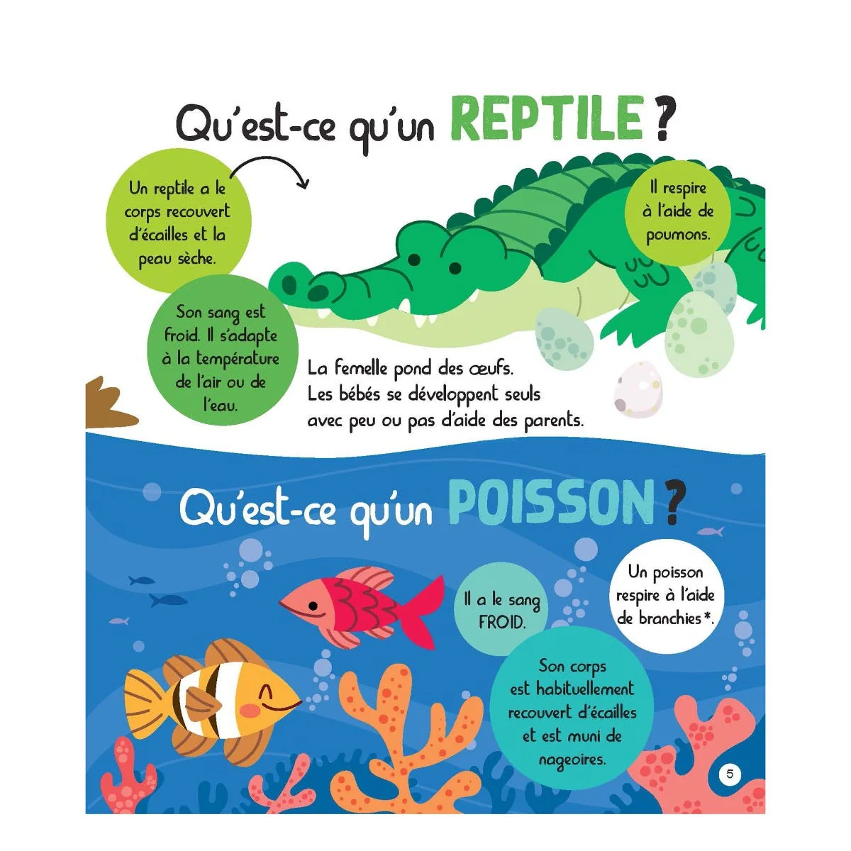 Mon Encyclopetit des Animaux - Image 5
