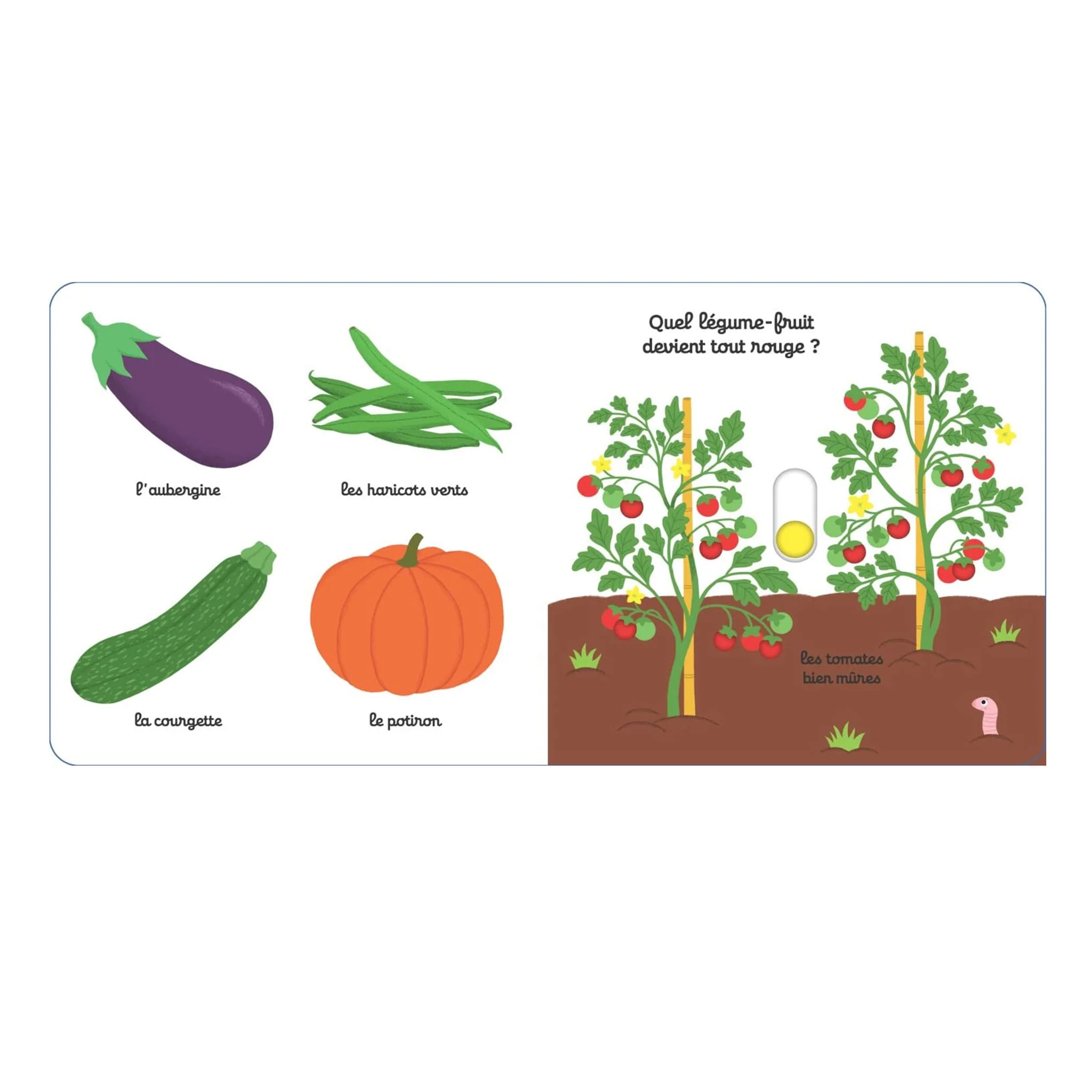 Mon Imagier des Légumes - Image 5