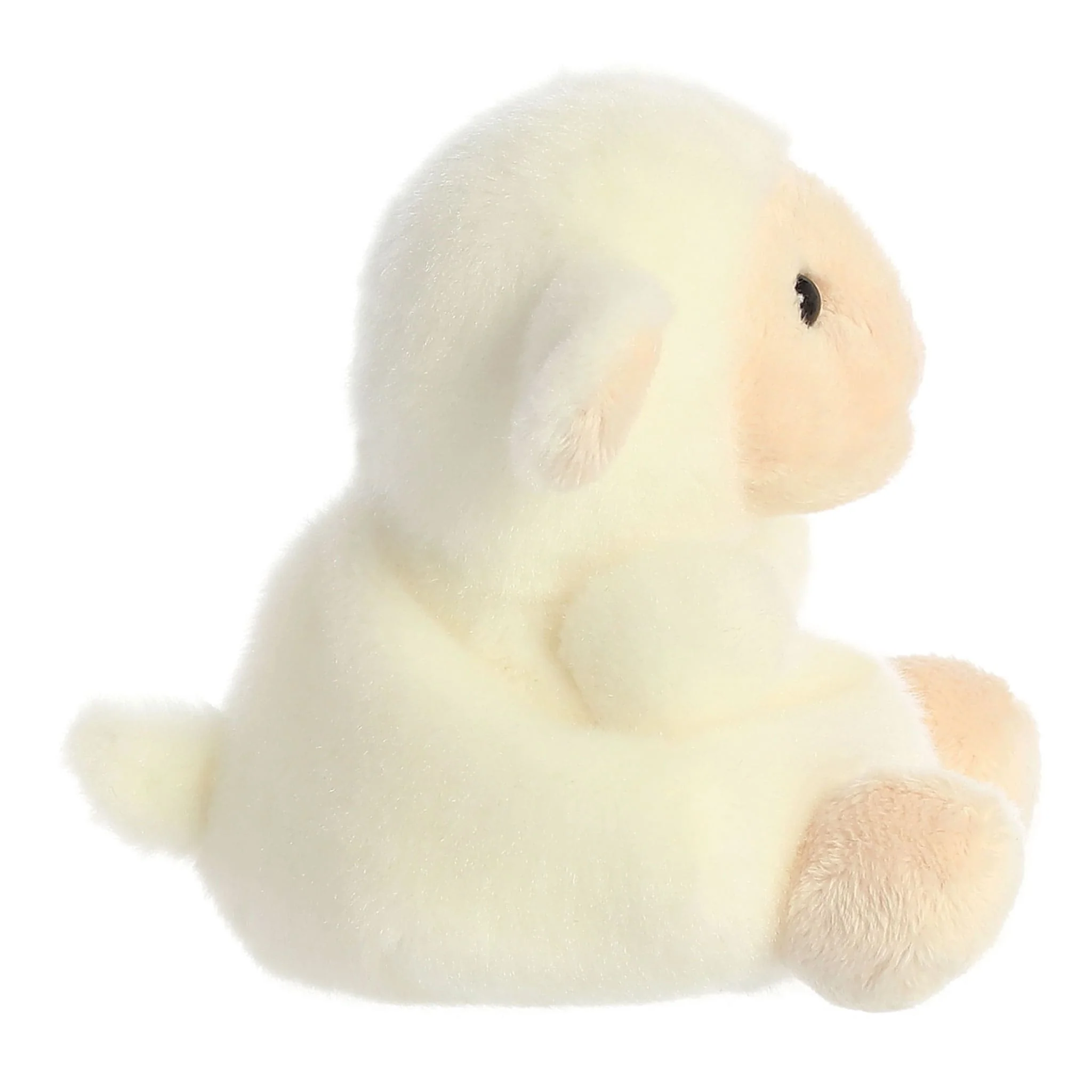 Mouton Woolly - Image 3