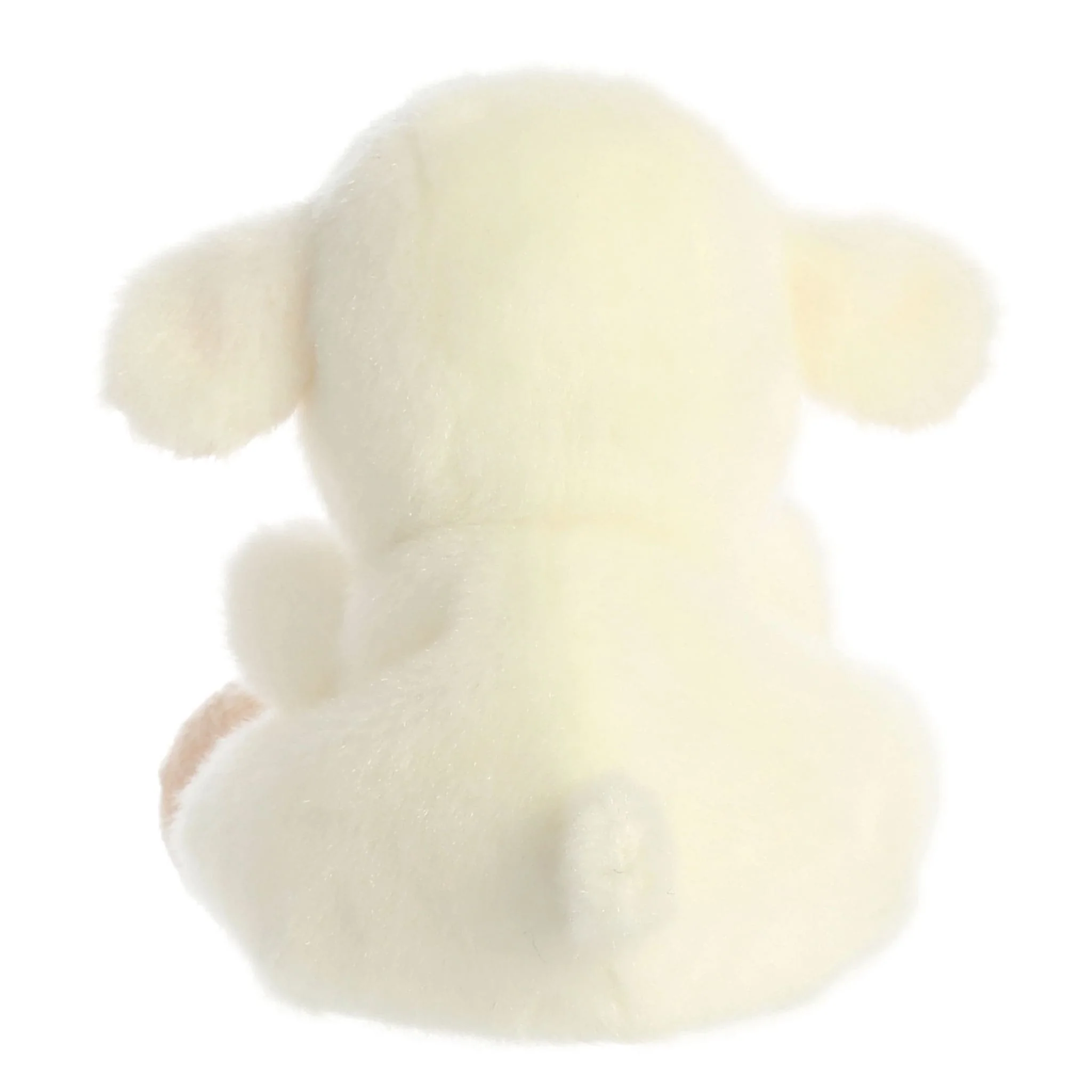 Mouton Woolly - Image 4