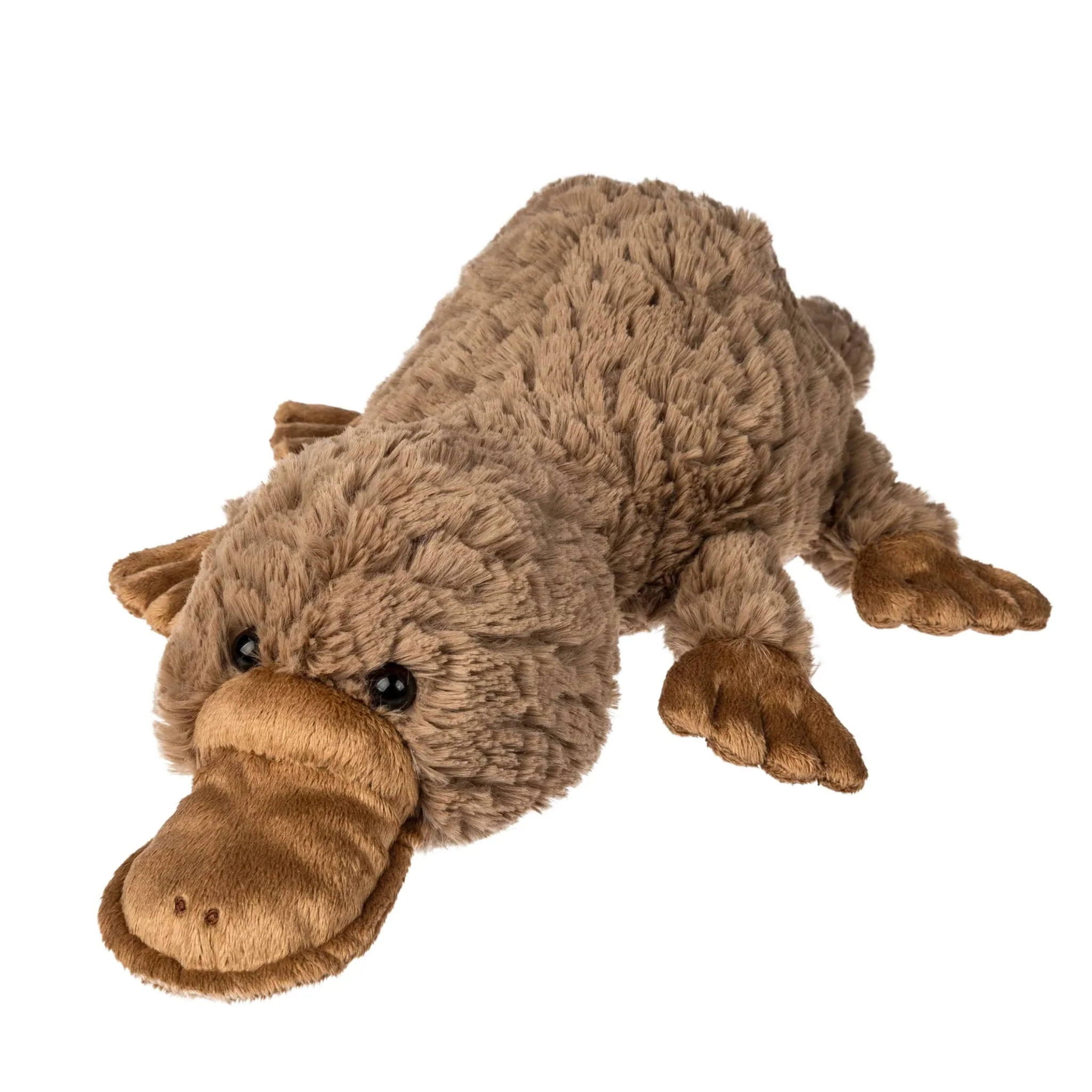 Ornithorynque