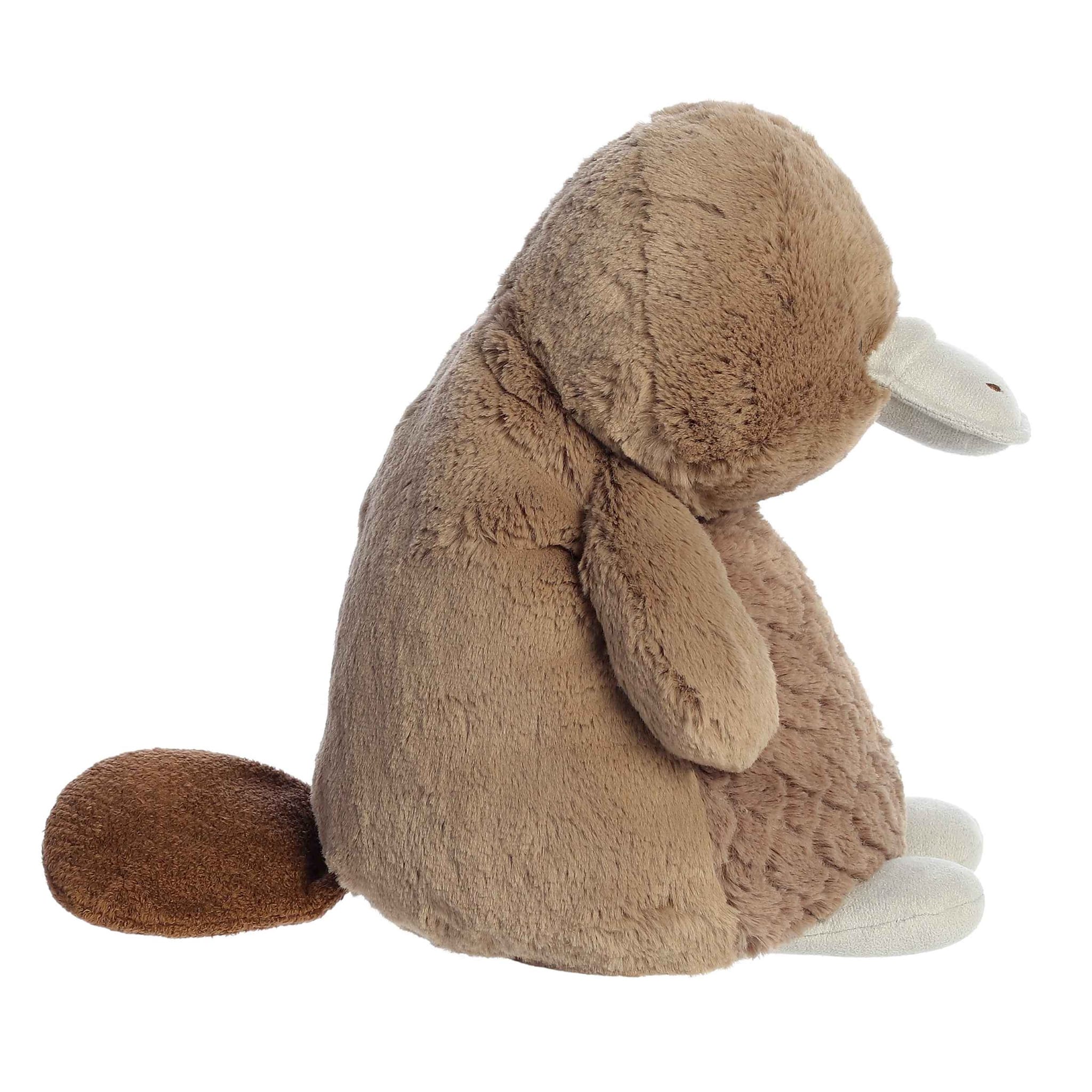Ornithorynque Lesté 2.5lb - Image 3
