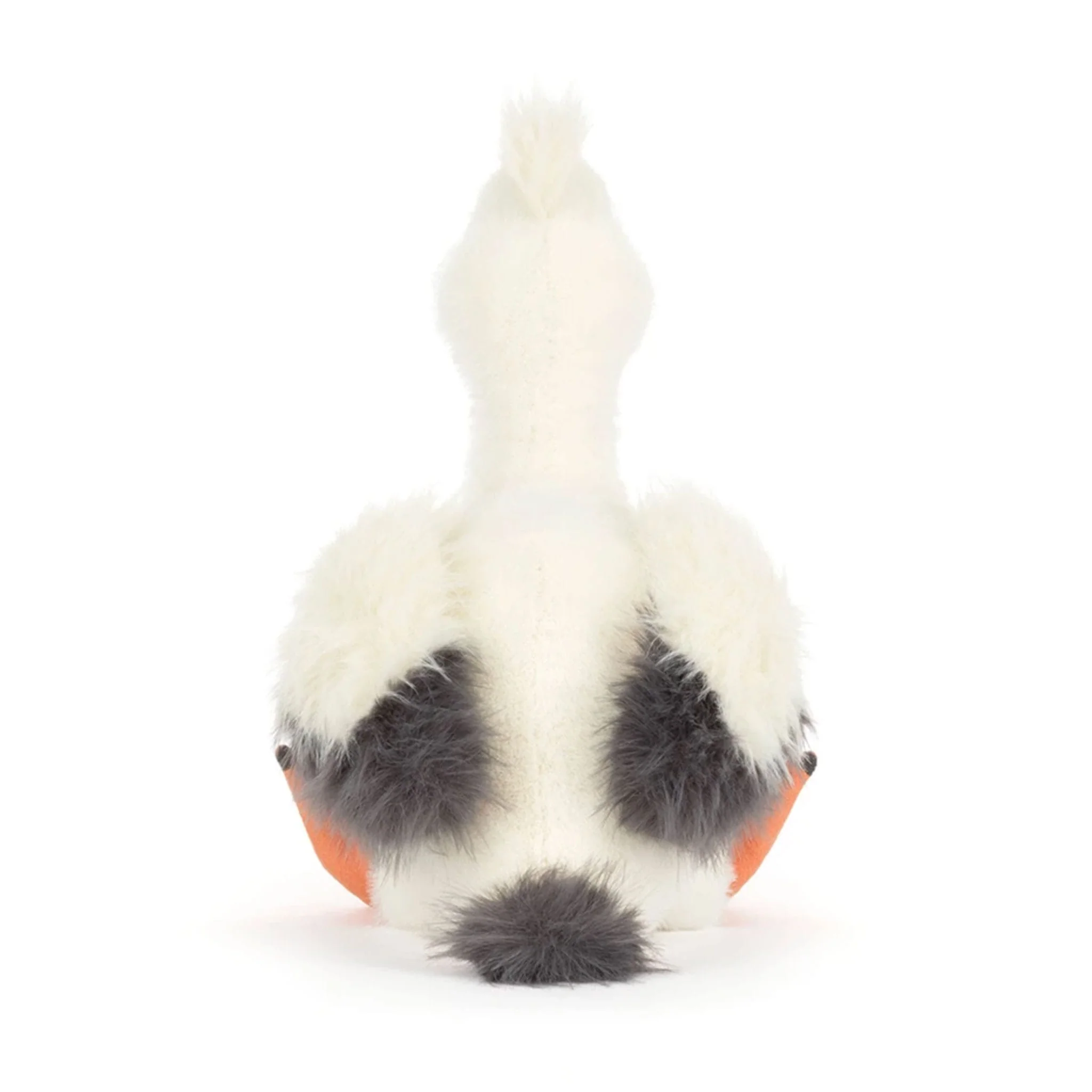 Keli le Pelican - Image 7