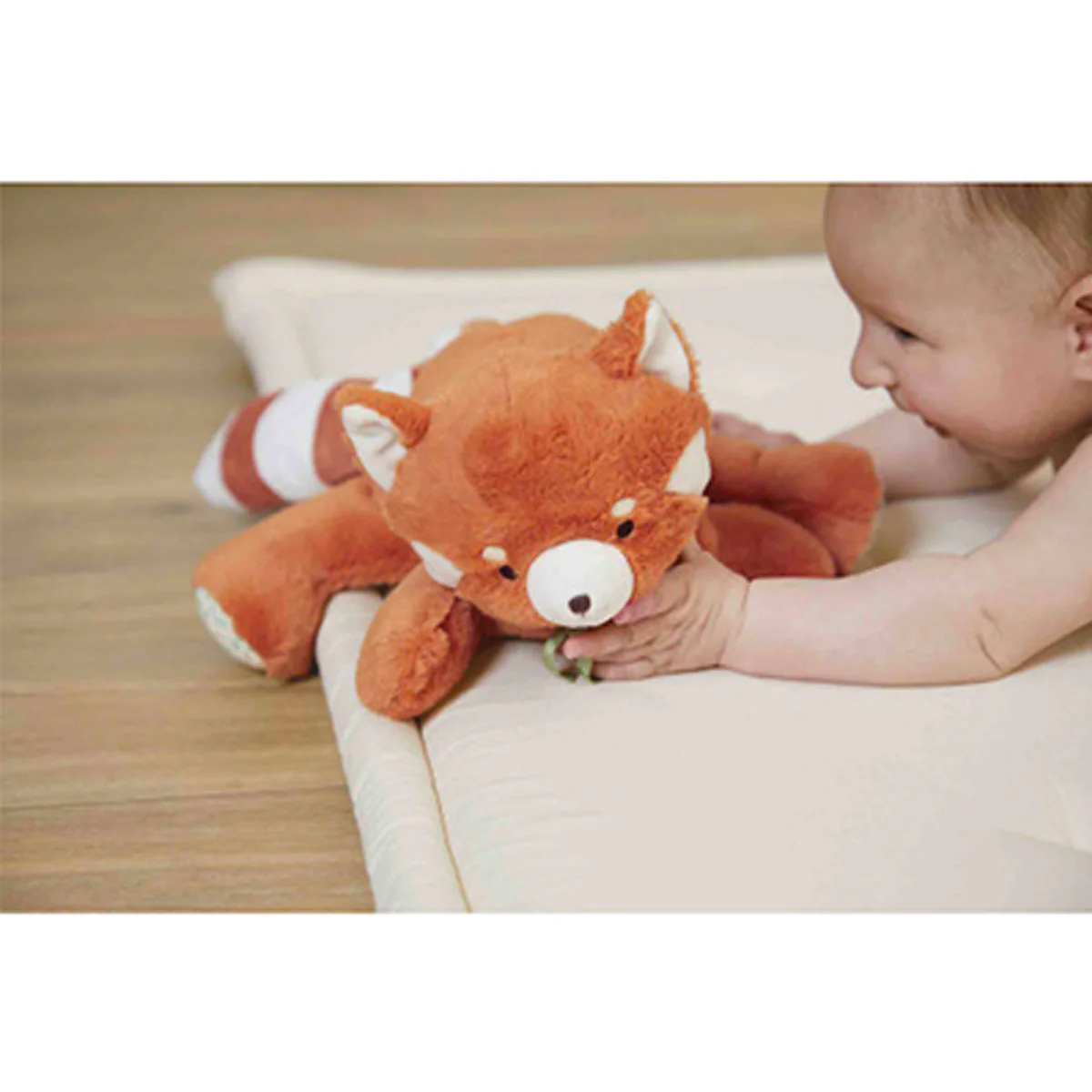 Peluche Lestée Panda Roux - Image 7