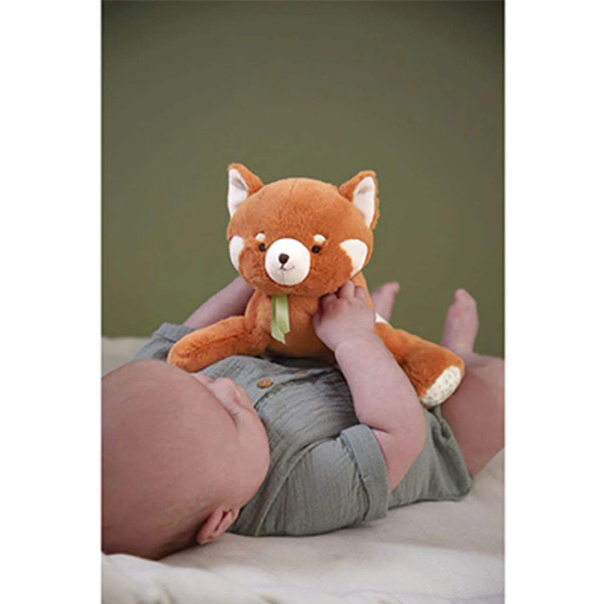 Peluche Lestée Panda Roux - Image 8