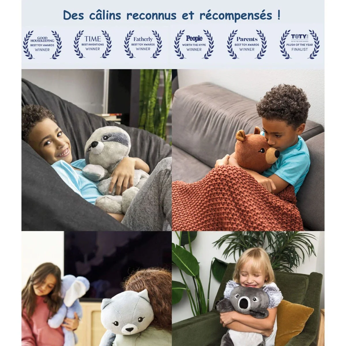 Peluche Lourde 2kg - Quinn le Koala - Image 9