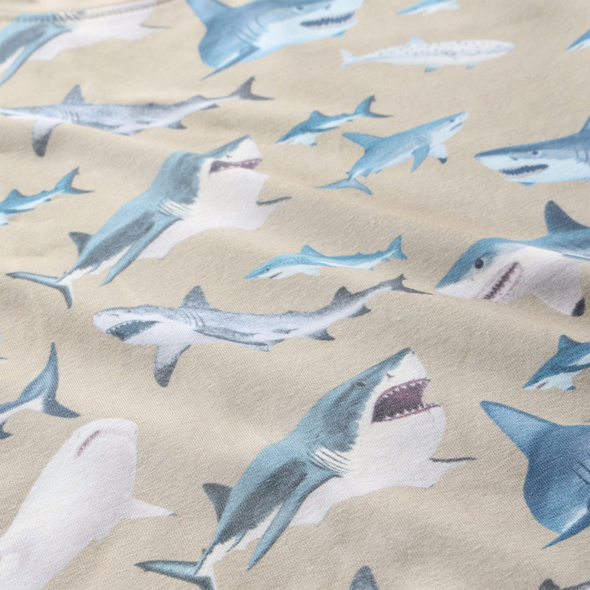 T-shirt Imprimé Requin 2-10ans - Image 3