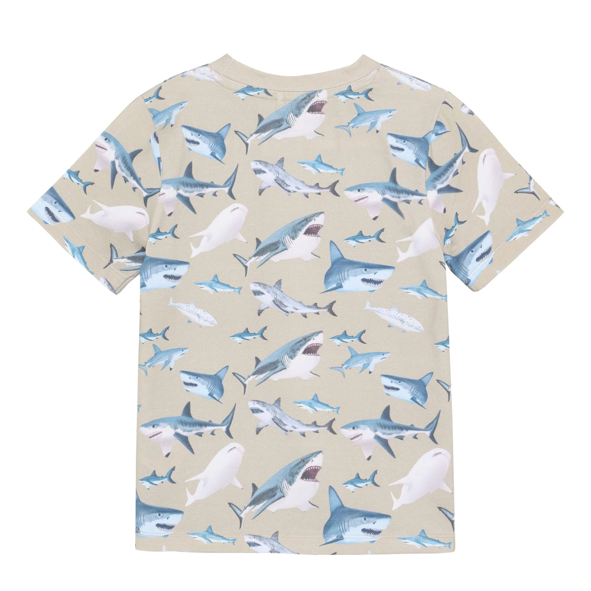 T-shirt Imprimé Requin 2-10ans - Image 4